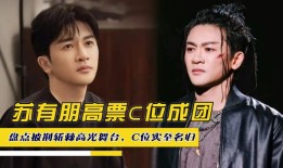 十天前他还是“银河战士”，十天后他被骂“别姨化”：52岁苏有