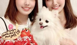 被造谣“陪睡”多年，董文华的清白背后，藏着娱乐圈最痛的伤
