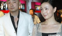 # 意难平，徐峥老婆陶虹简介背后，藏着多少错失与清醒