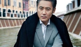 # 意难平，吴秀波妻子何震亚亲手将顶流丈夫送入深渊
