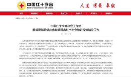从“炫富女”到两度入狱，她凭什么一次次重来？