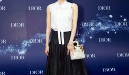 素颜女神王丽坤二零一七年度礼服风华录