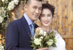 杨子黄圣依：一场始于“英雄救美”的豪门生意终崩盘