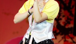 从黄河之滨到舞台中央情歌天后龙梅子的绽放与深情